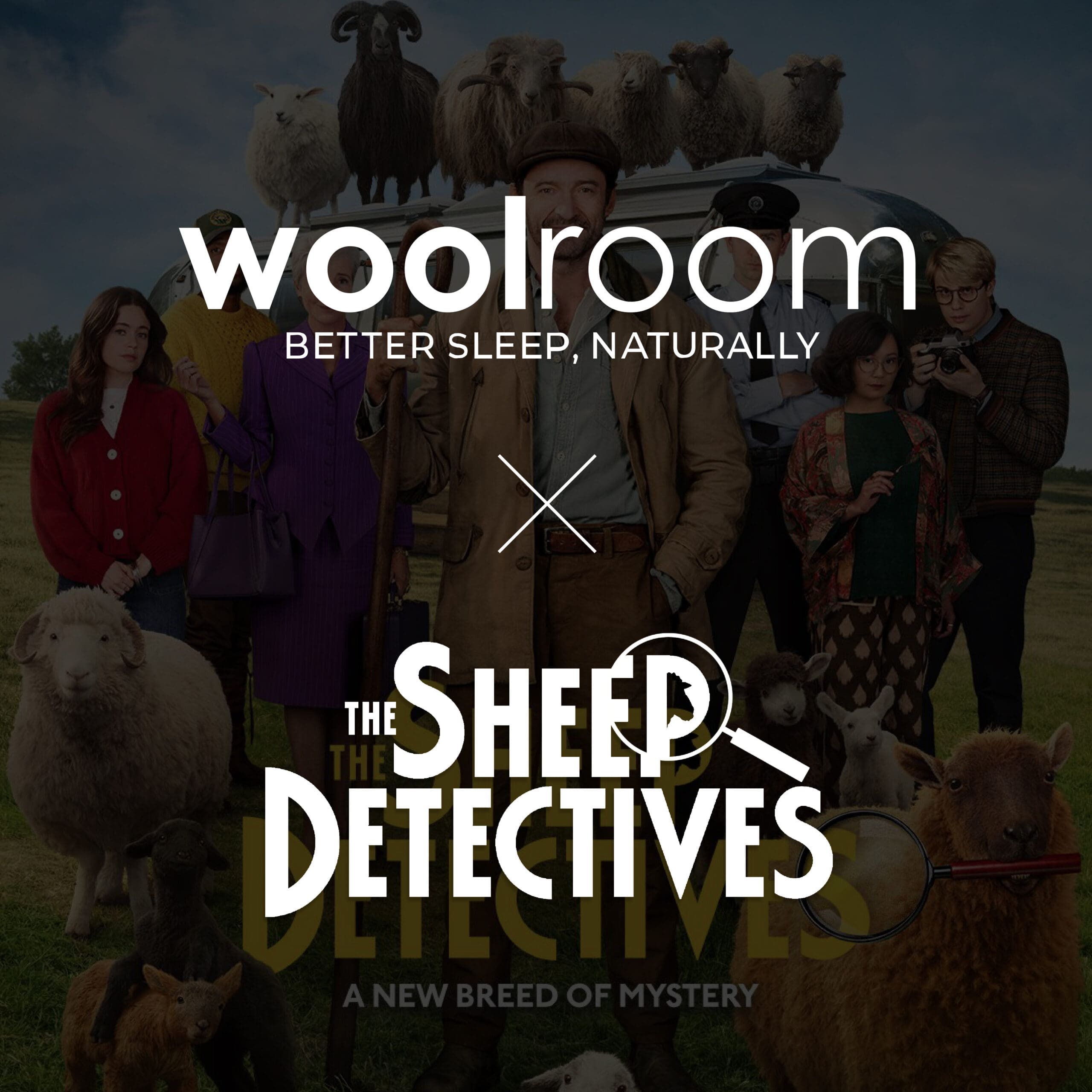 Creating a baa-rilliant brand partnership with Woolroom and Sheep Detectives